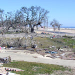 a debris strewn area near the beach