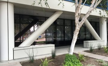 entrance to a building with a tree in front